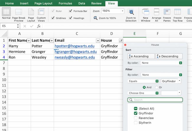 Microsoft Excel basics: Filters