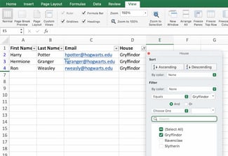 Microsoft Excel basics: Remove Duplicates