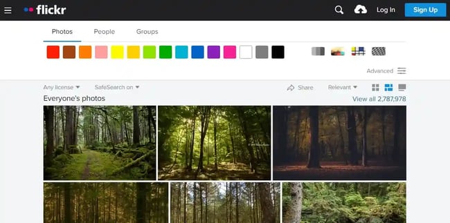 how to reverse image search: flickr search results page includes images of forests-1
