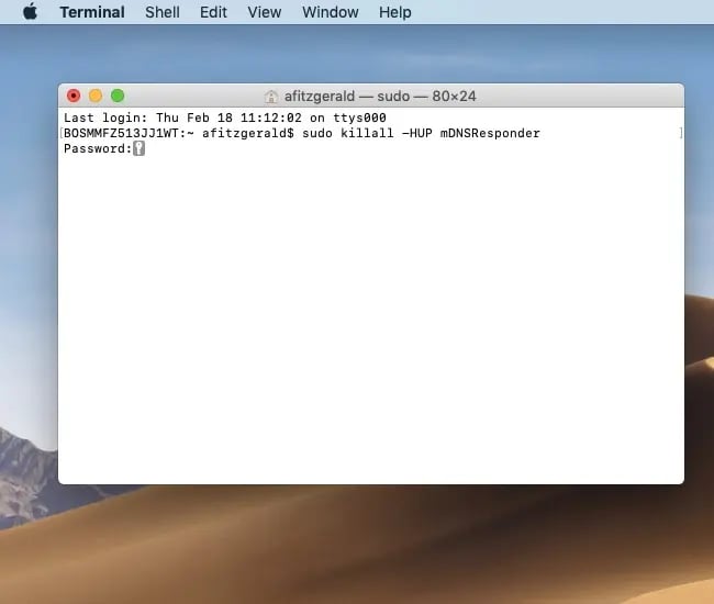 Type in command in Terminal to flush DNS in Mac OS X 10.11-10.15