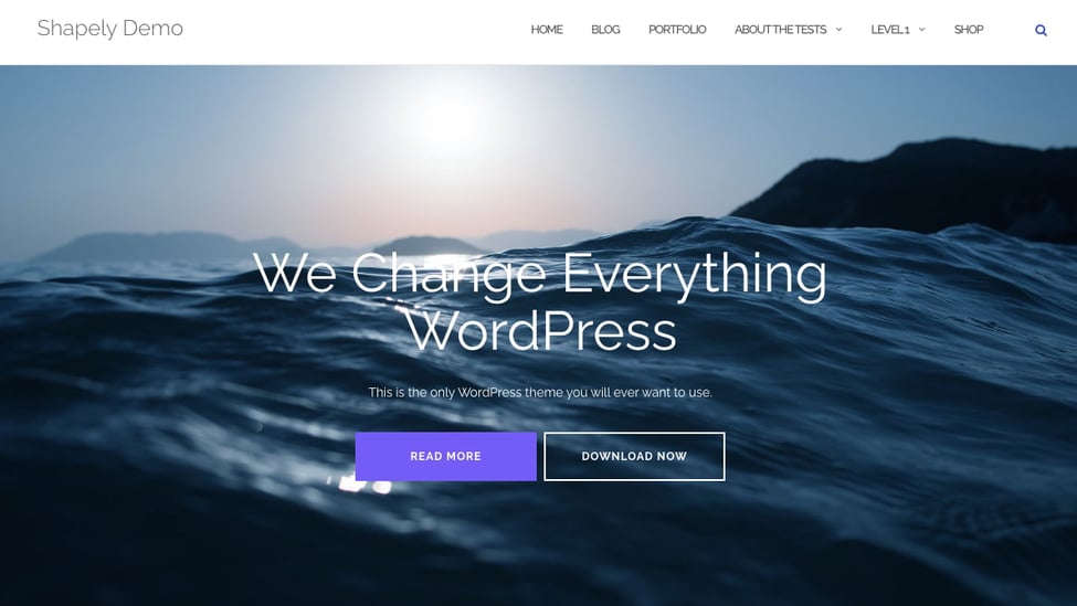 Best Responsive WordPress Theme Options: 55 of our Favorites