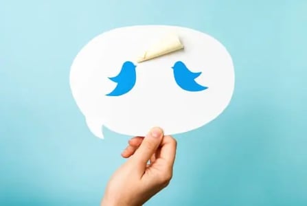 graphic showing a hand holding a speaking bubble with two twitter birds and a megaphone