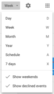 google-calendar-view-options