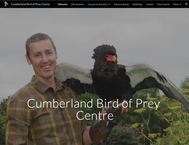 Google Sites tutorial Examples: cumberland bird of prey centre