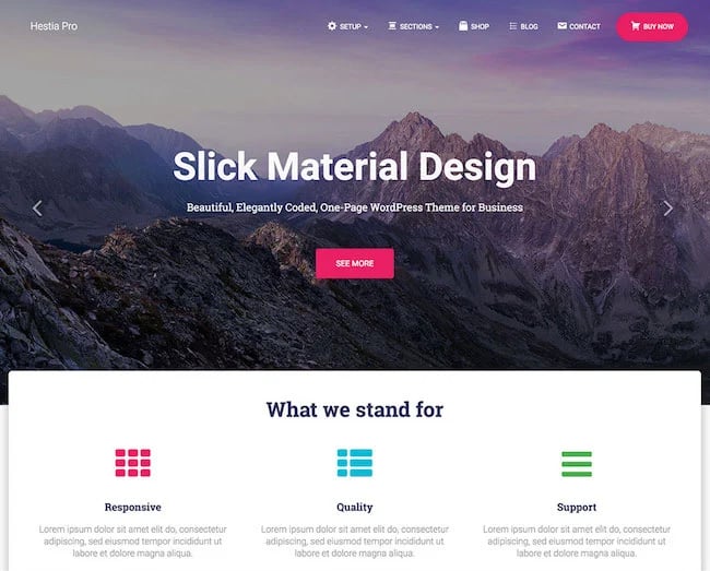 what is a wordpress theme: wordpress theme examples: hestia