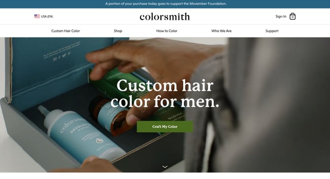 homepage design, colorsmith