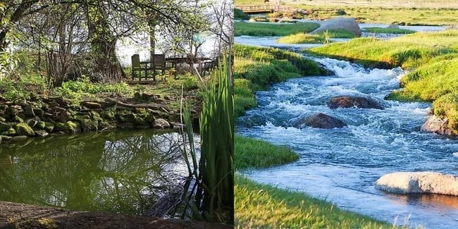 Pond versus stream