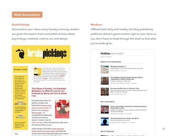 newsletter examples, guideline from hubspot