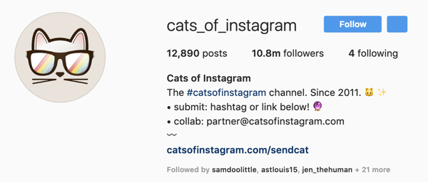 The Anatomy Of A Perfect Instagram Profile - attractive cool instagram names for girls