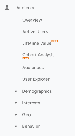 google analytics audience report