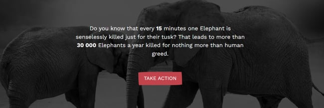image shows elephants and helps tell the story of this organization's mission.