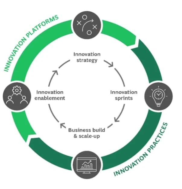 innovation cycle - practices and platforms