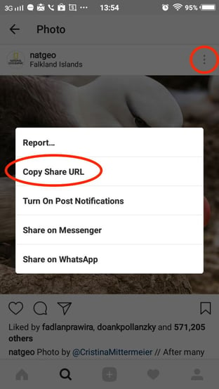 Option to Copy Share URL from Instagram to Pinterest