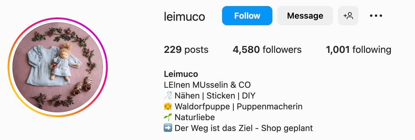 Creative Instagram bio ideas, leimuco