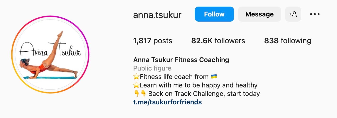 Creative Instagram bio ideas, anna tsukur