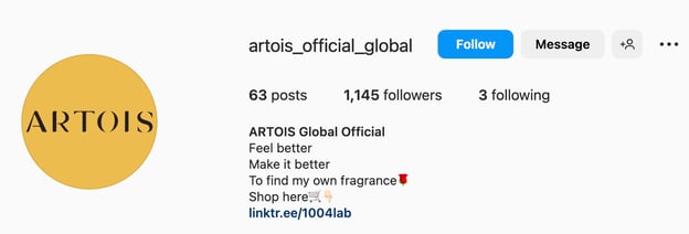 Good Instagram bio ideas with offers and call to action, artois
