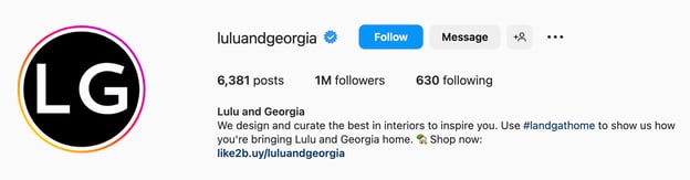 Good Instagram bio ideas with offers and call to action, lulu and georgia
