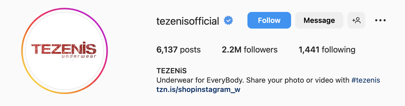 Simple Instagram bio ideas for apparel, tezenis