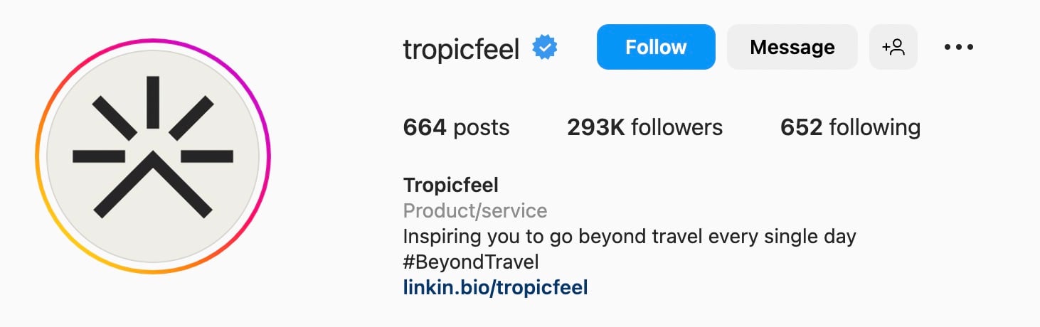 Simple Instagram bio ideas for apparel, tropic feel