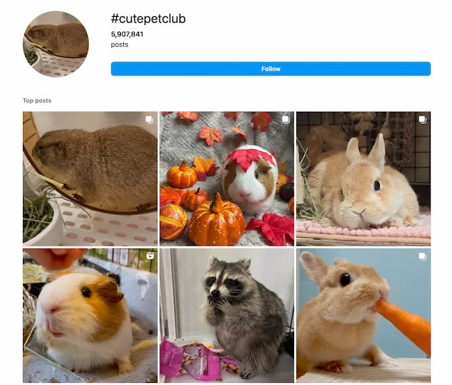 Instagram Hashtags example for individuals