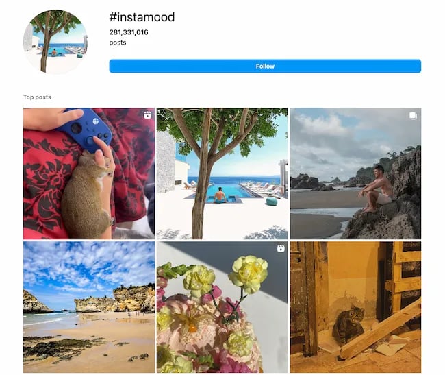 Instagram Hashtags example, likes and follows