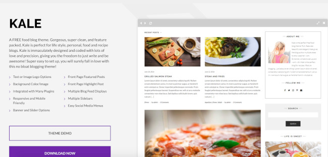 kale wordpress theme for bloggers