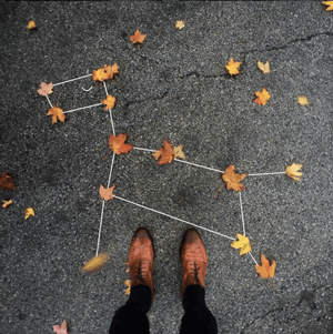 leaf-dog-constellation.png