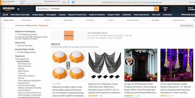 Affiliate link for Amazon example: Link to Search Results example