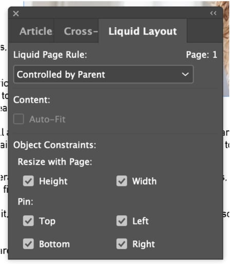 Liquid layout: set layout options 