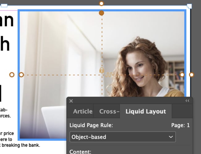 Liquid Layout: The object-based liquid page rule is selected and shows a blue frame around the image. 