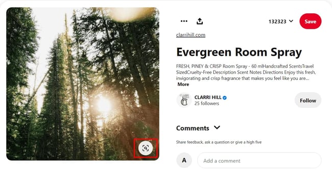 how to reverse image search: icon on pinterest image selected to find similar images
