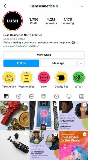 lush instagram profile example of social media content marketing on instagram