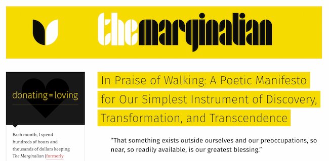 Examples of curated content: The Marginalian