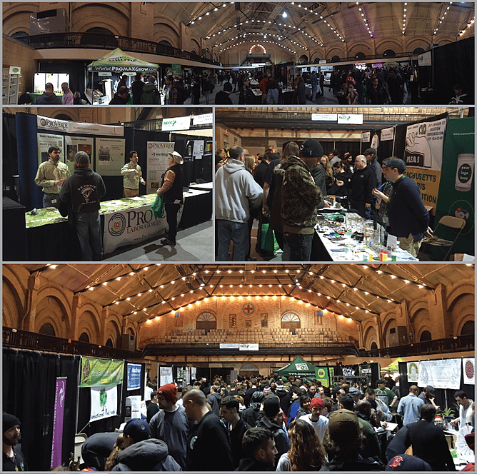 new-england-cannabis-conventions-boston