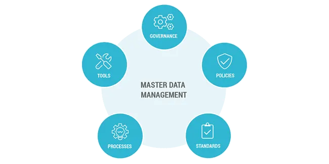 Diagram of master data management components: governance, policies, standards, processes, and tools