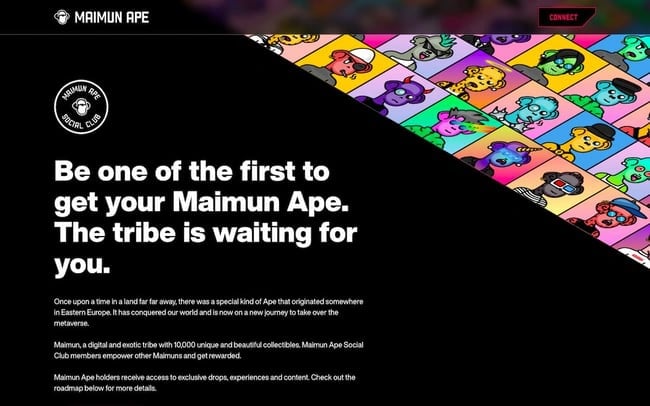 membership website example: Maimun Ape Social Club homepage includes CTA button to connect crypto wallet