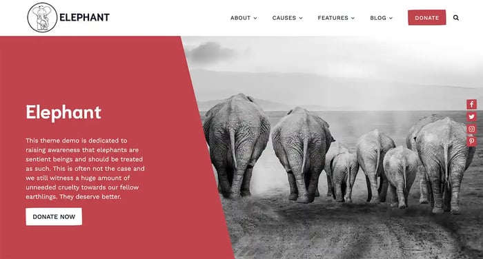 Elephant WordPress theme for nonprofit organizations