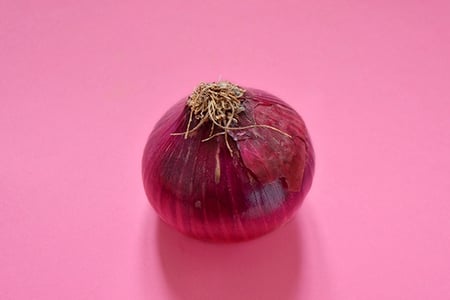 onion-writing-advice