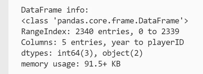 Information about DataFrame printed to the terminal showing memory usage at 91.5 kilobytes