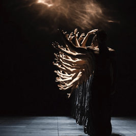 Paris Opera Ballet Instagram account showing performance of Crystal Pite