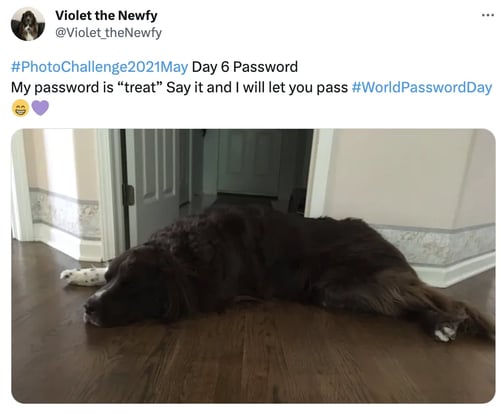 password-day