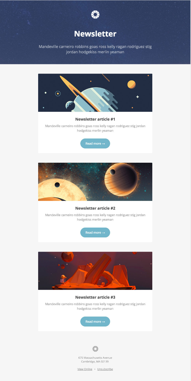 Pook email newsletter template by Litmus