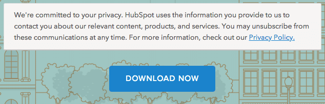HubSpot privacy policy on lead-capture form above Download button