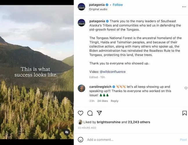 Product category examples: Patagonia