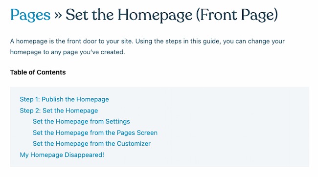 How to make a professional website example: WordPress homepage settings