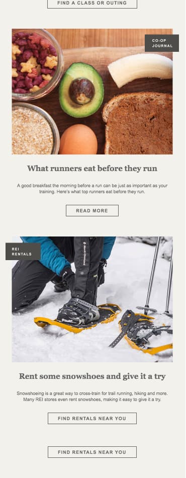 Email Newsletter Example: REI
