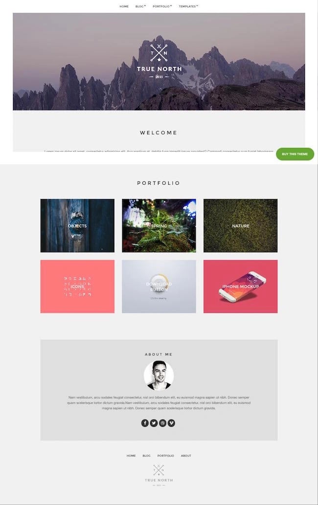 True North, a responsive wordpress theme features moutains on a header 