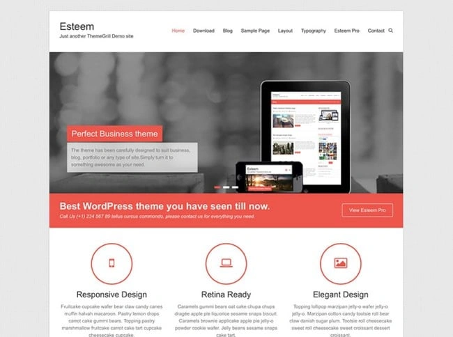 Best Responsive WordPress Theme Options: 55 Of Our Favorites