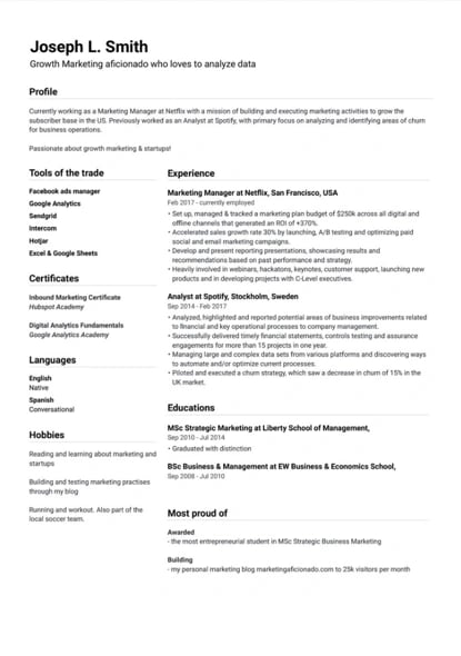 resume templates for word: elegant resume template