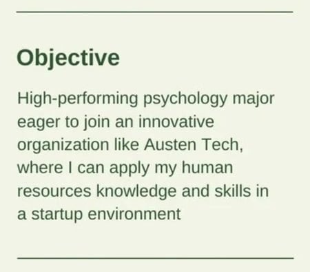 beginner resume objective example: Career Cloud